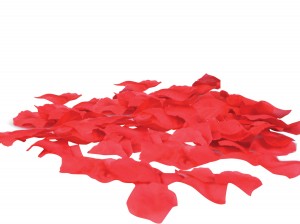 petales de roses rouges en tissus