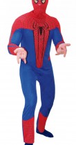 Déguisement The Amazing Spider-Man adulte™