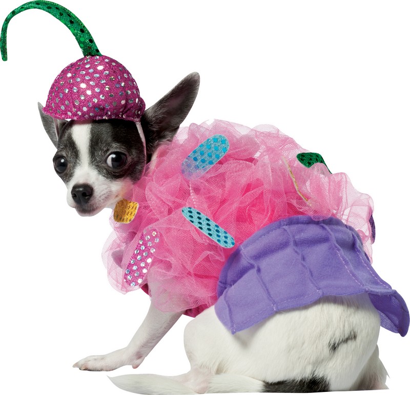 Déguisement Lion Pour Chien/chien - Perruque Crinière Ajustable, Trous Pour Oreilles, Pour Fêtes, Photos, S/M/L - 6