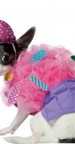 Déguisement pour chien de cupcake